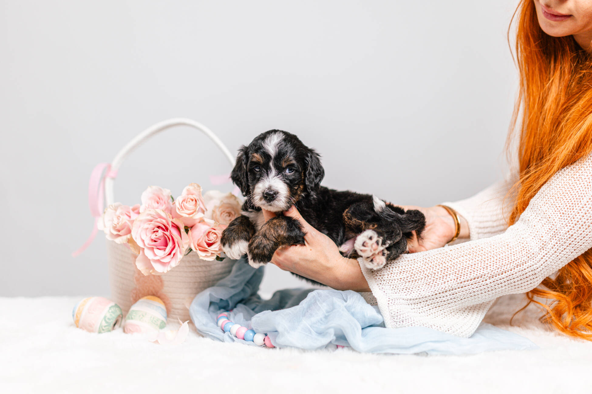 5litter 5В7205тедди 4