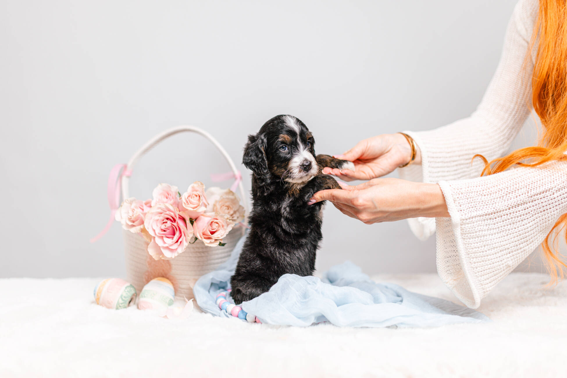 5litter 5В7205тедди 5