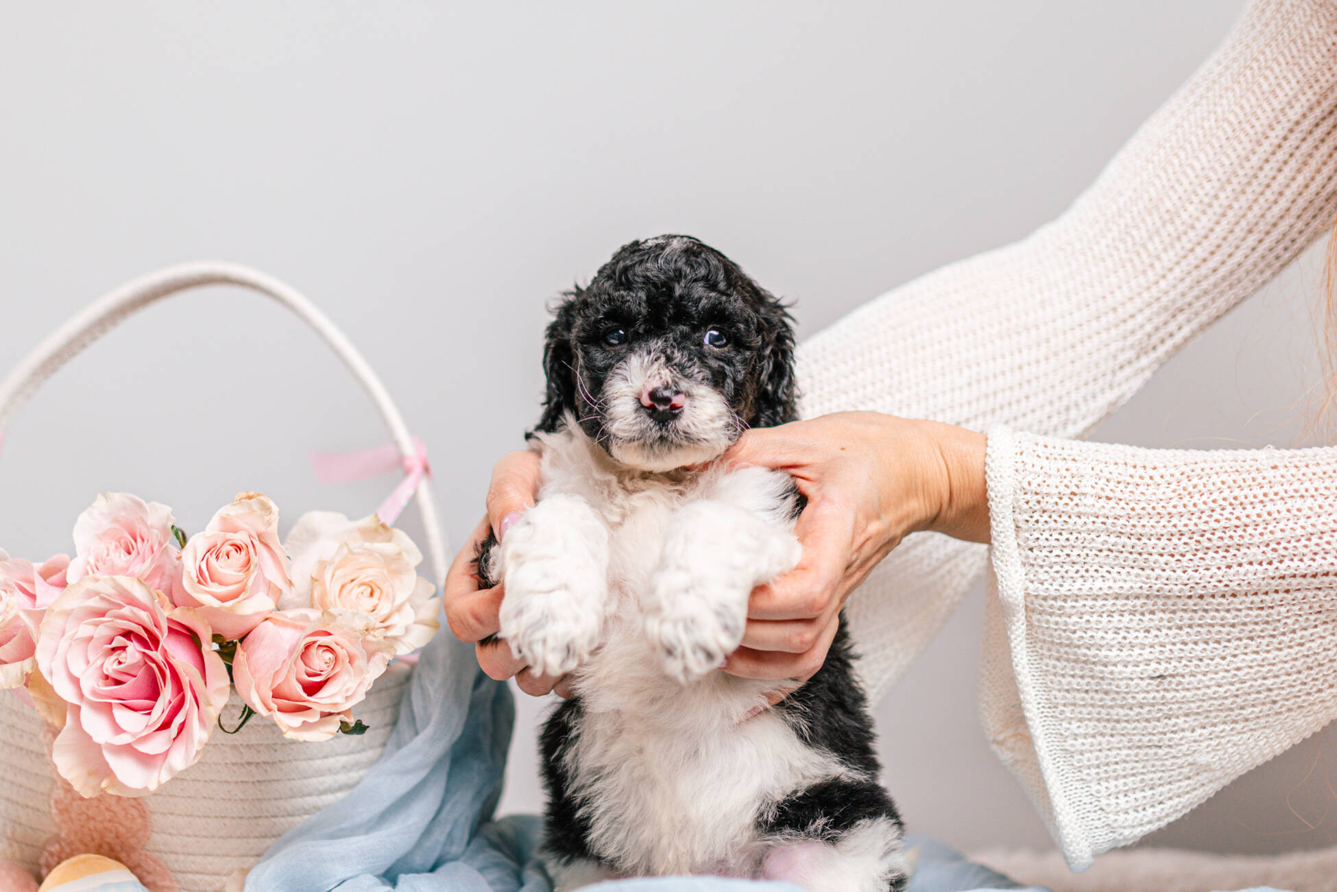 5litter 7В7207твикс 4