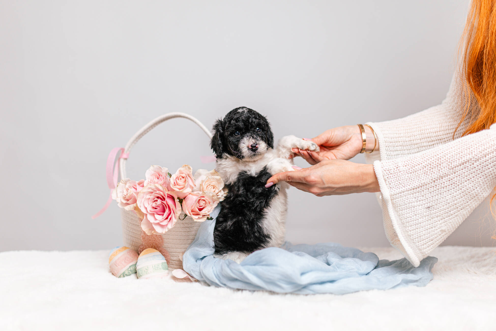 5litter 7В7207твикс 5