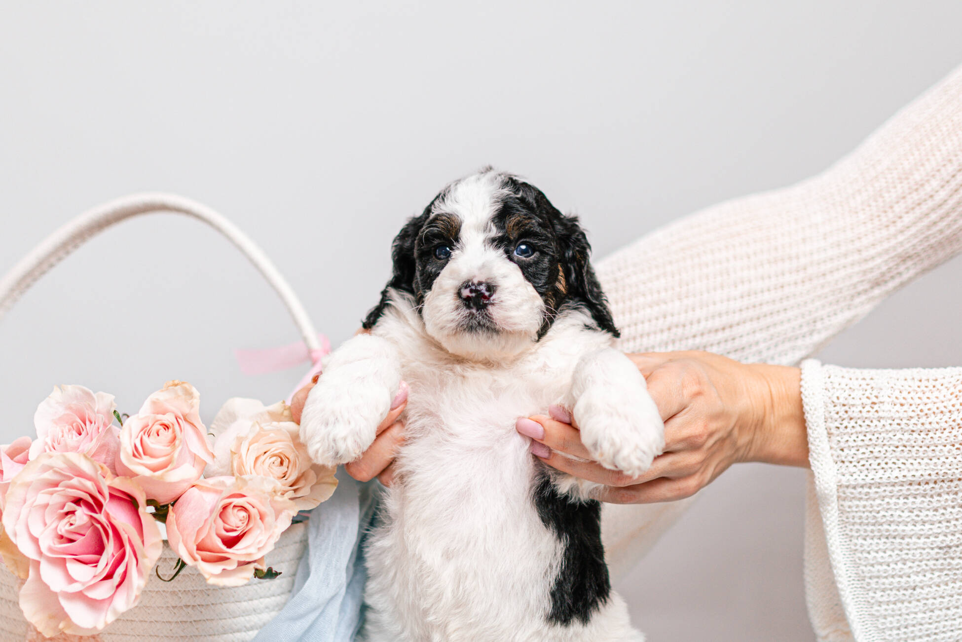 5litter 8В7073тоби 2