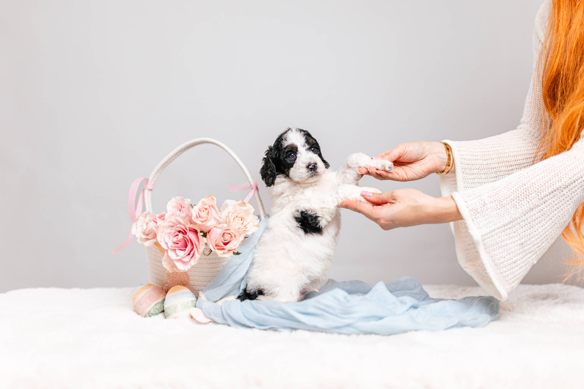 5litter 8В7073тоби 4