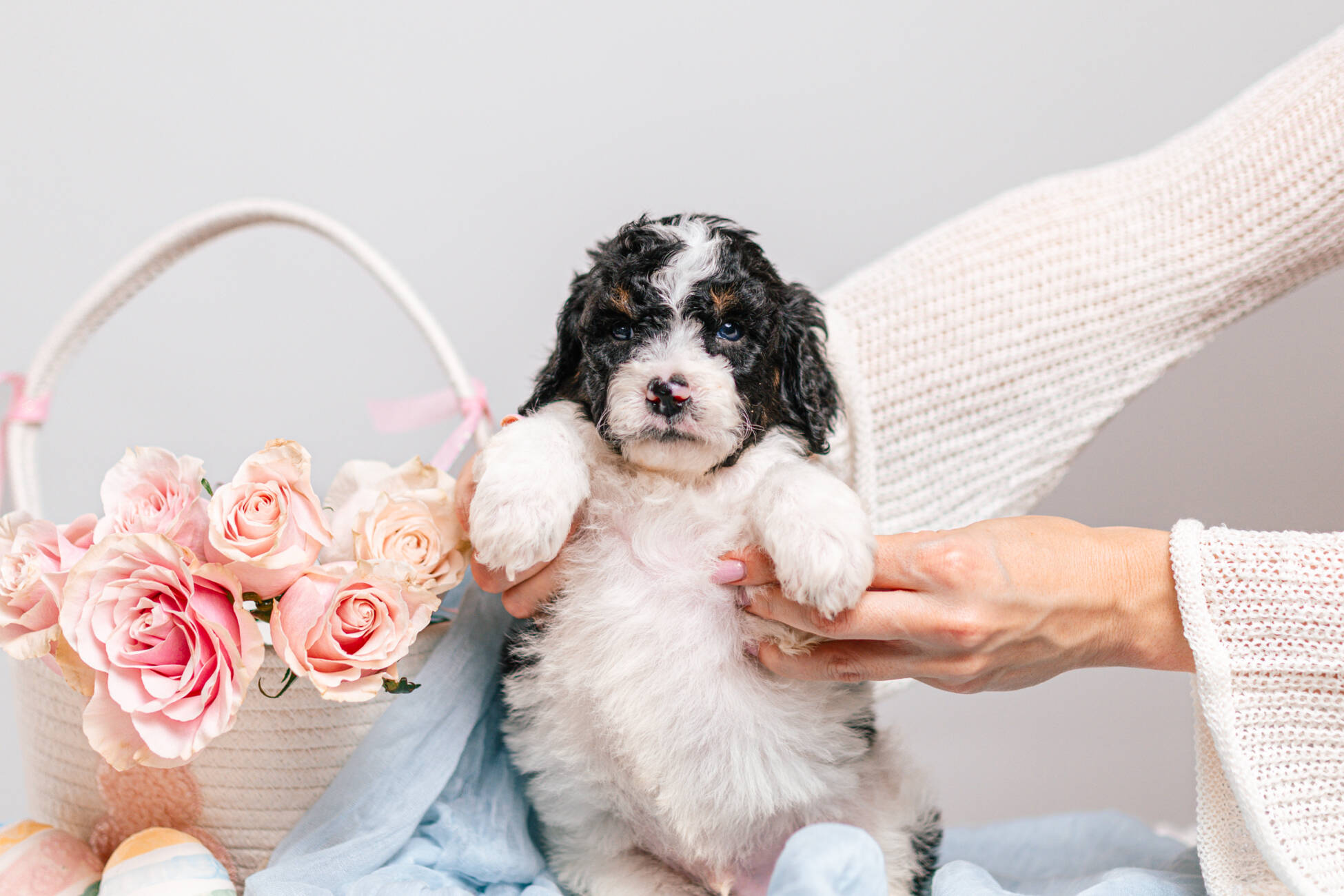 5litter 9В7071турбо 1