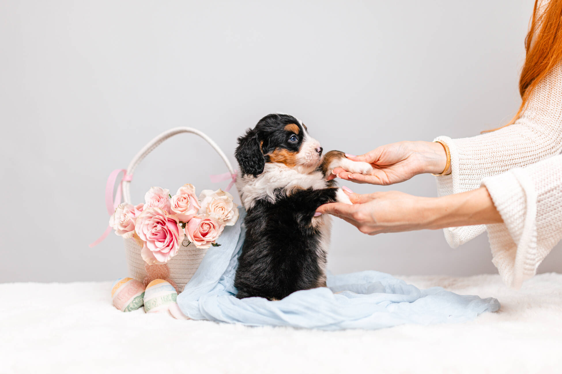 6litter 2g7201зури 4