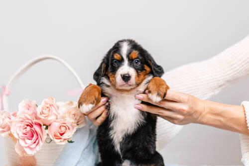 6litter 3g7028зара 1