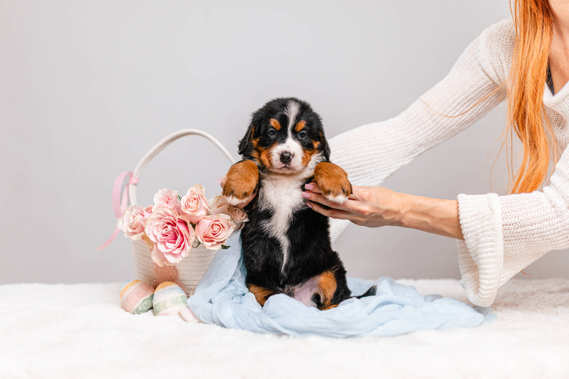 6litter 6В7089зен 1