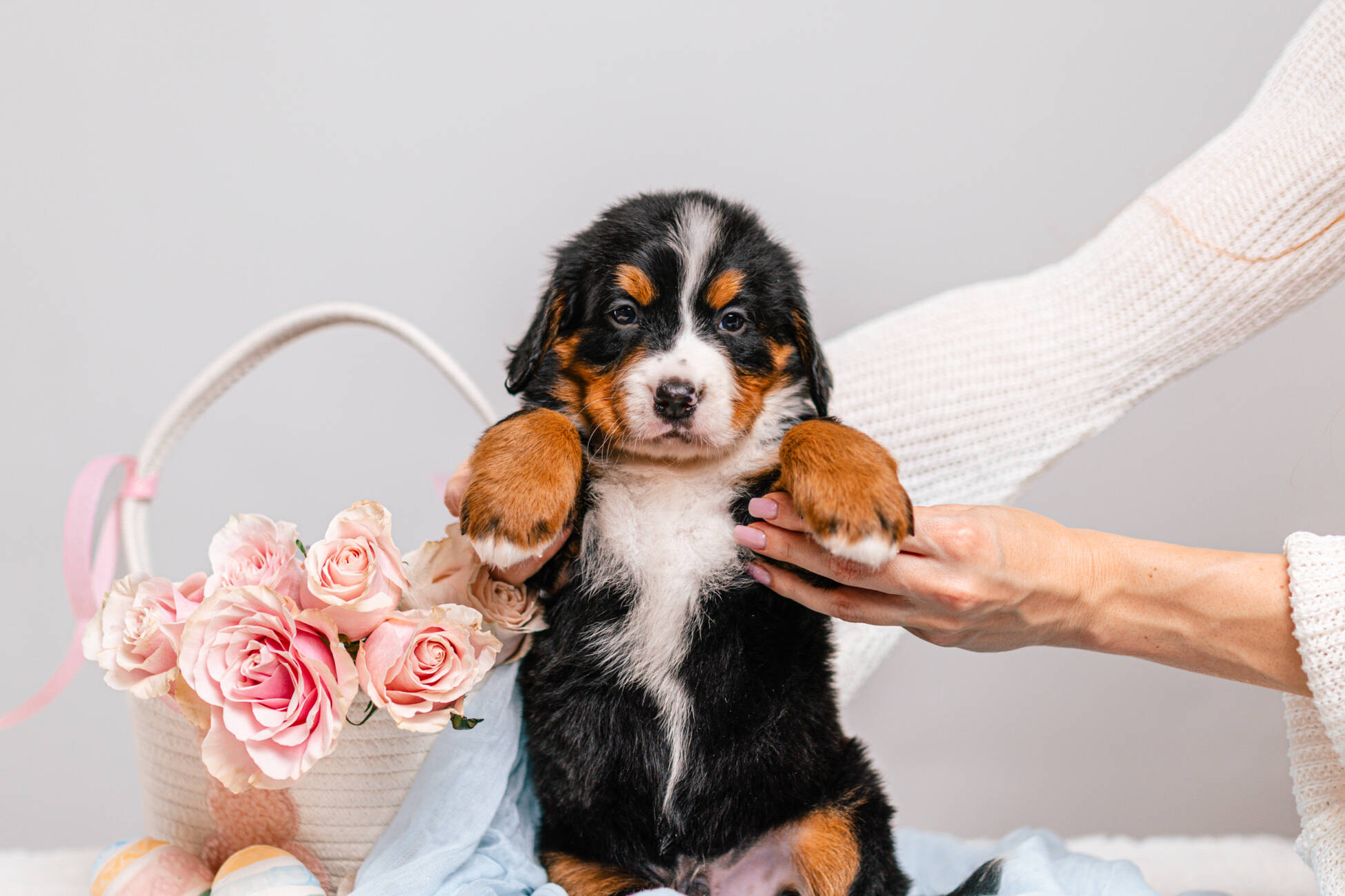 6litter 6В7089зен 2