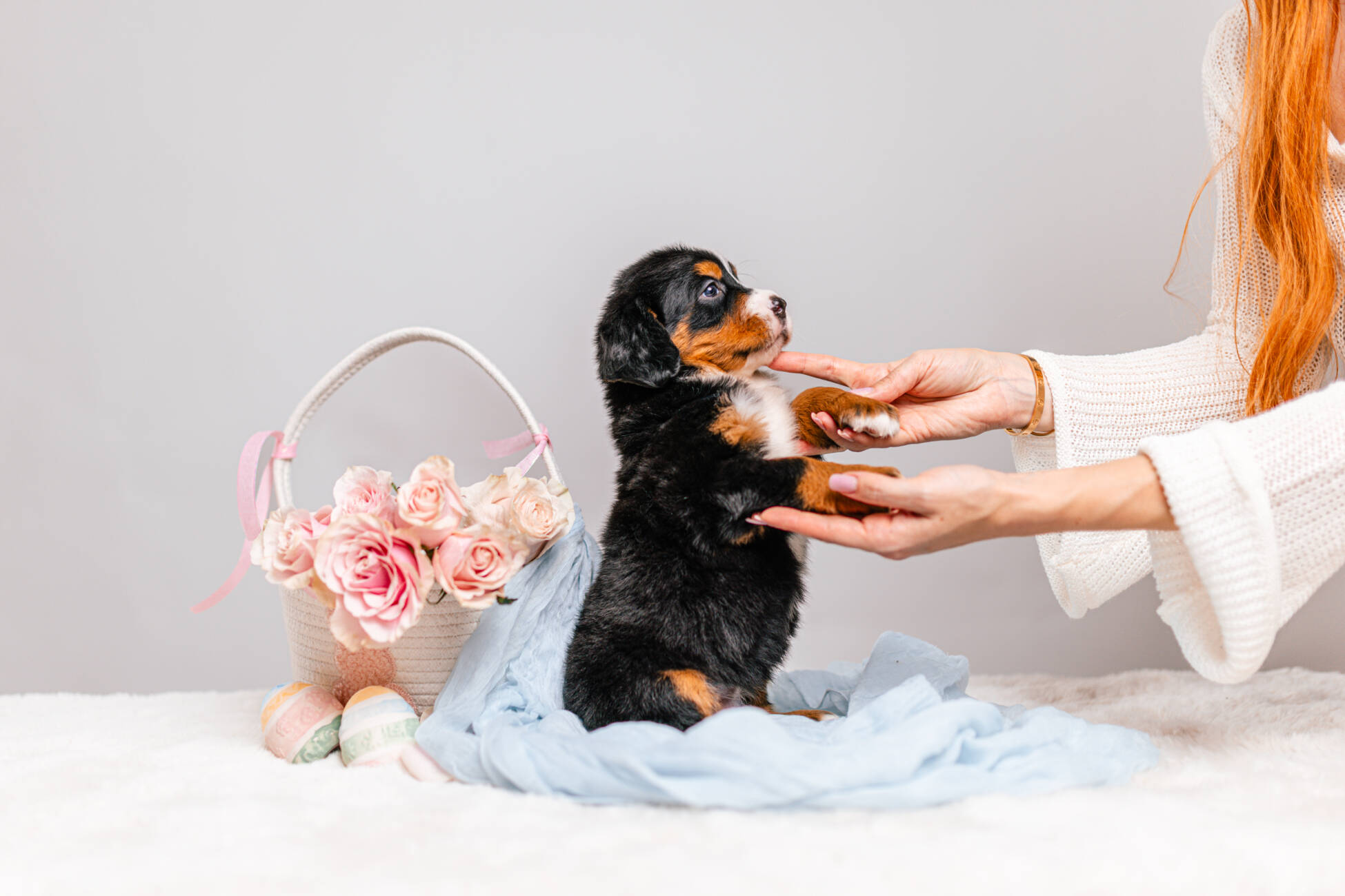 6litter 6В7089зен 4