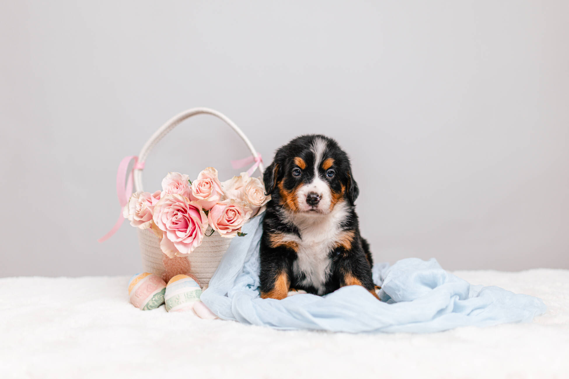 6litter 6В7089зен 5