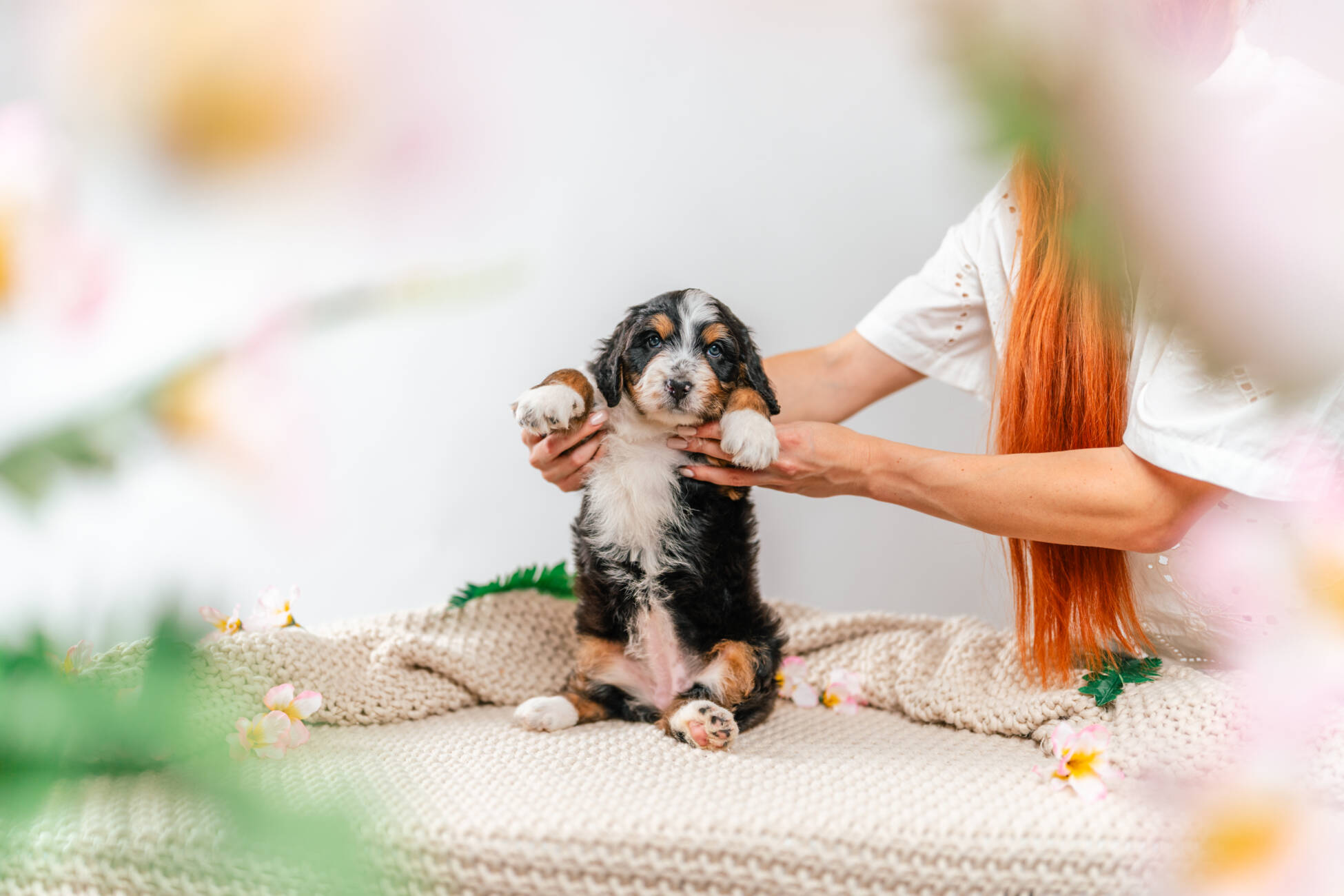 8l 2g4468bunny 3