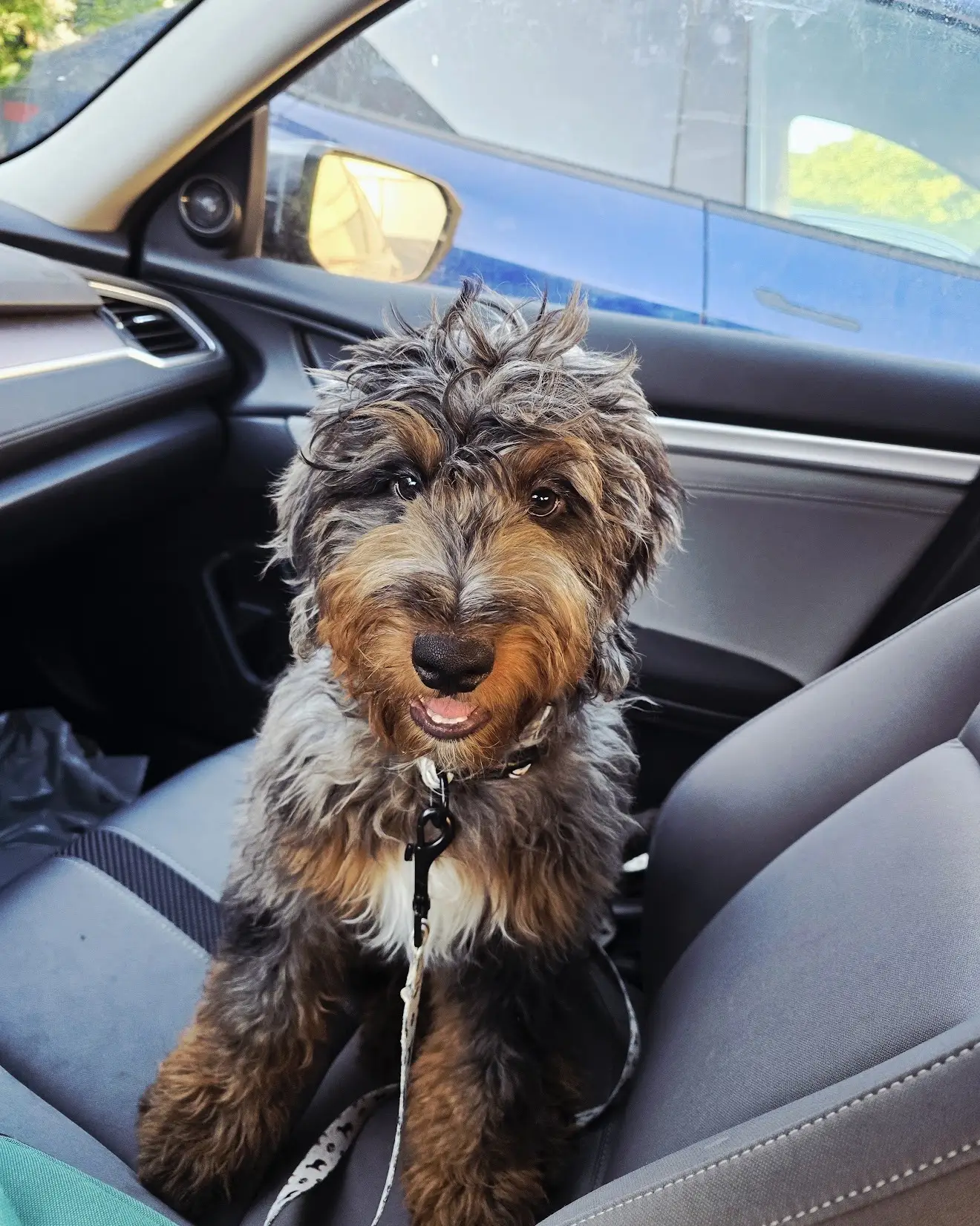 Toby2