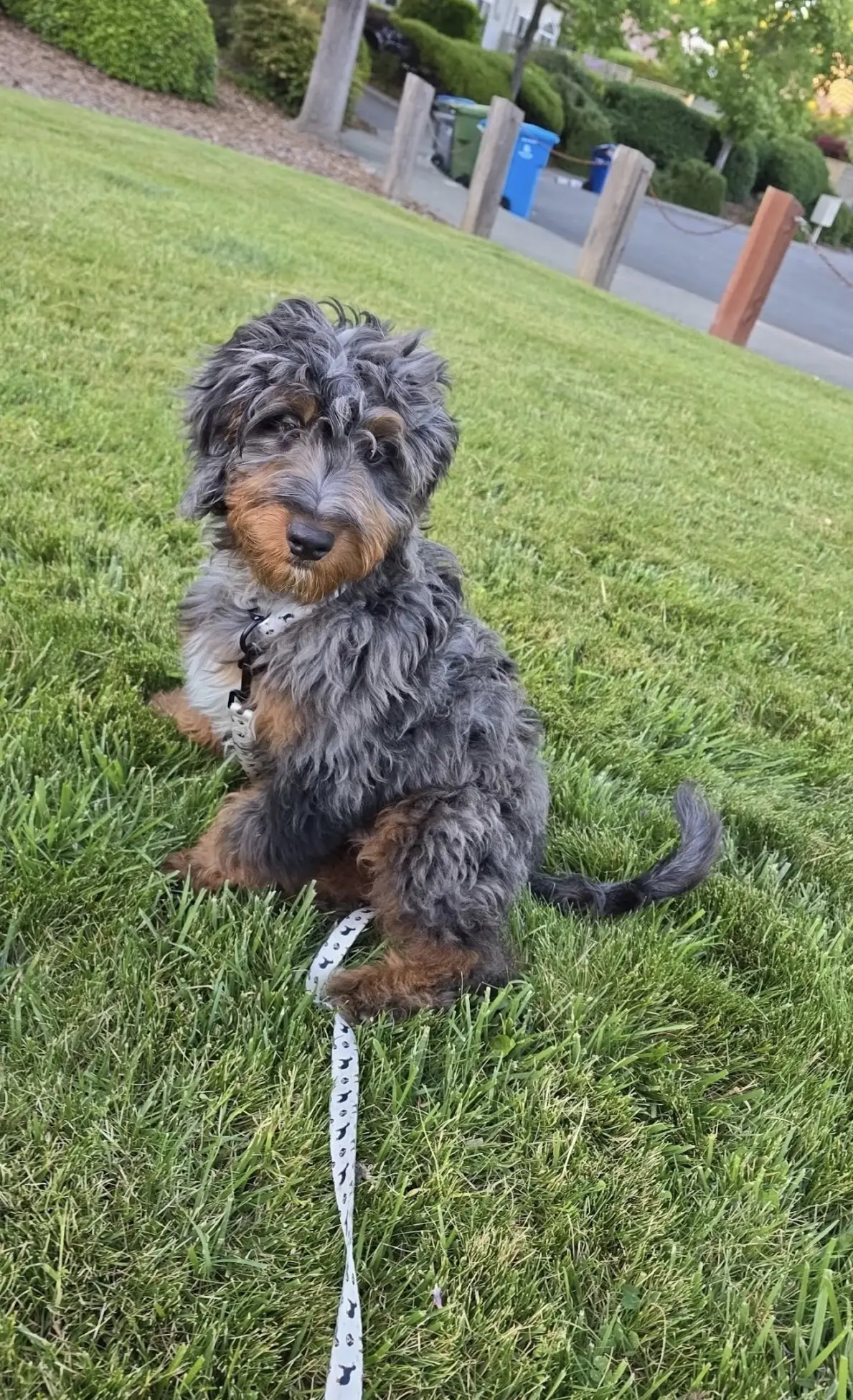 Toby4
