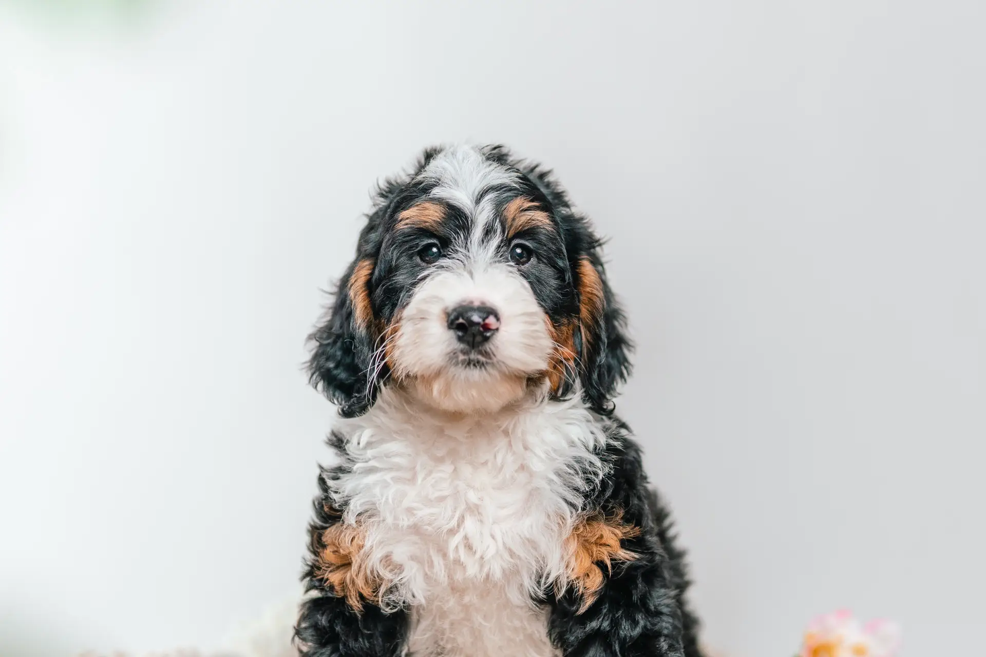 3l 2g5368duffy 1